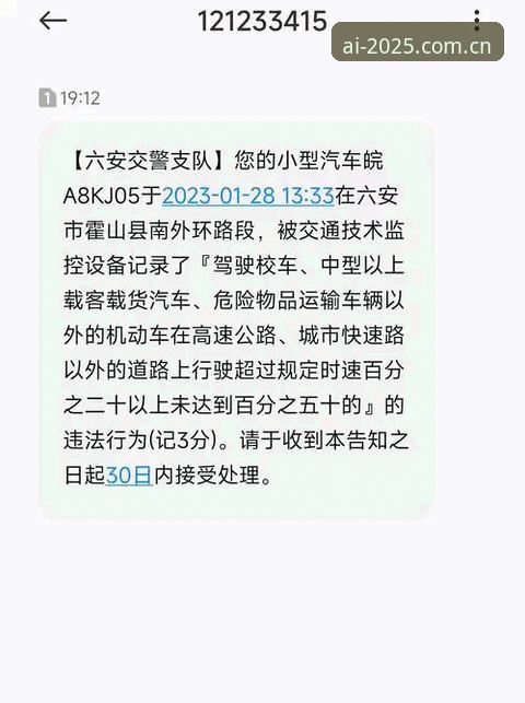 揭秘摩纳哥维修区超速罚单背后的0.1公里/小时真相